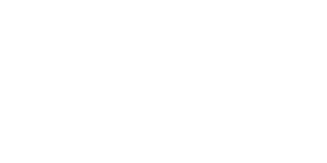 Aaid American Academy